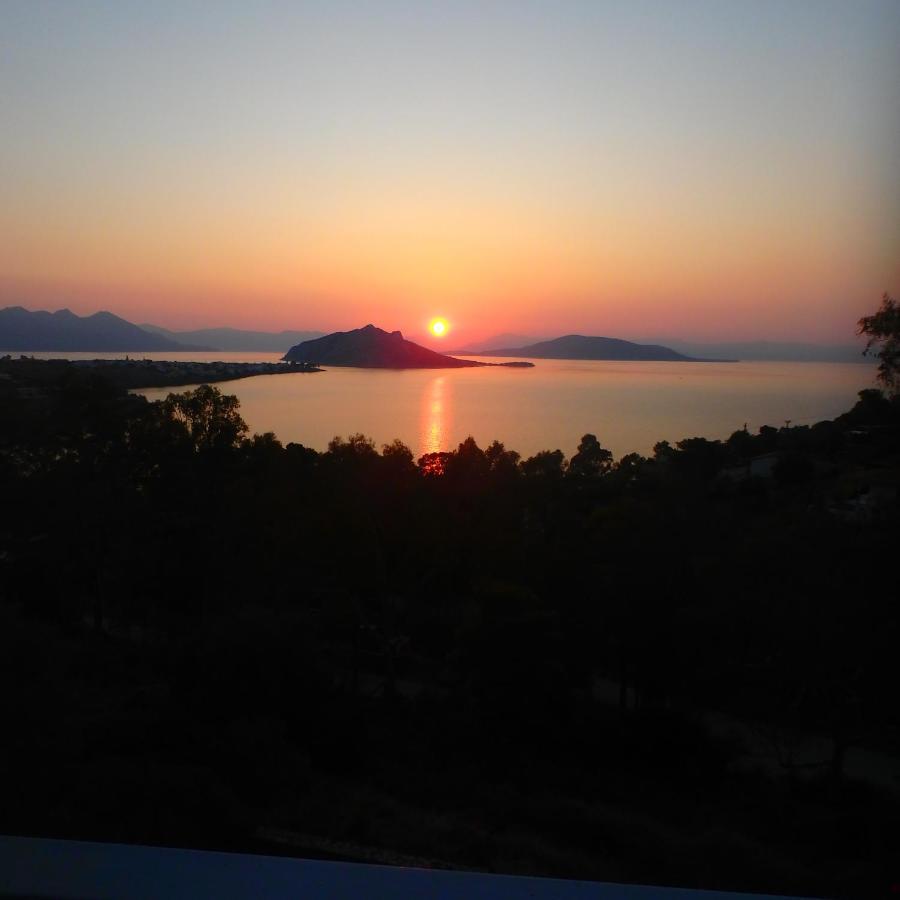 Villa Rodanthos Пердіка Екстер'єр фото