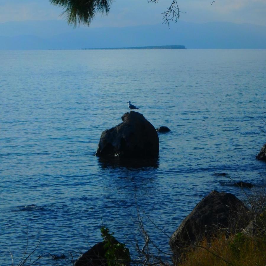 Villa Rodanthos Пердіка Екстер'єр фото