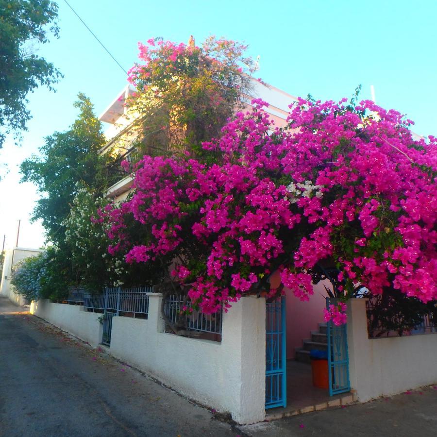 Villa Rodanthos Пердіка Екстер'єр фото